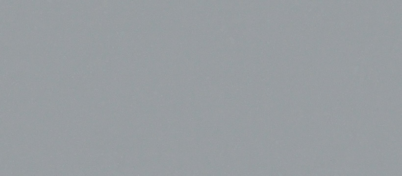 2205 維克灰